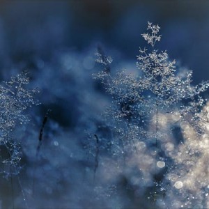 NOTICE OF DECEMBER MEETINGS